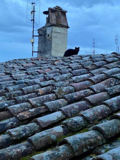 Appartamento Viola 27 Perugia Bagian luar foto